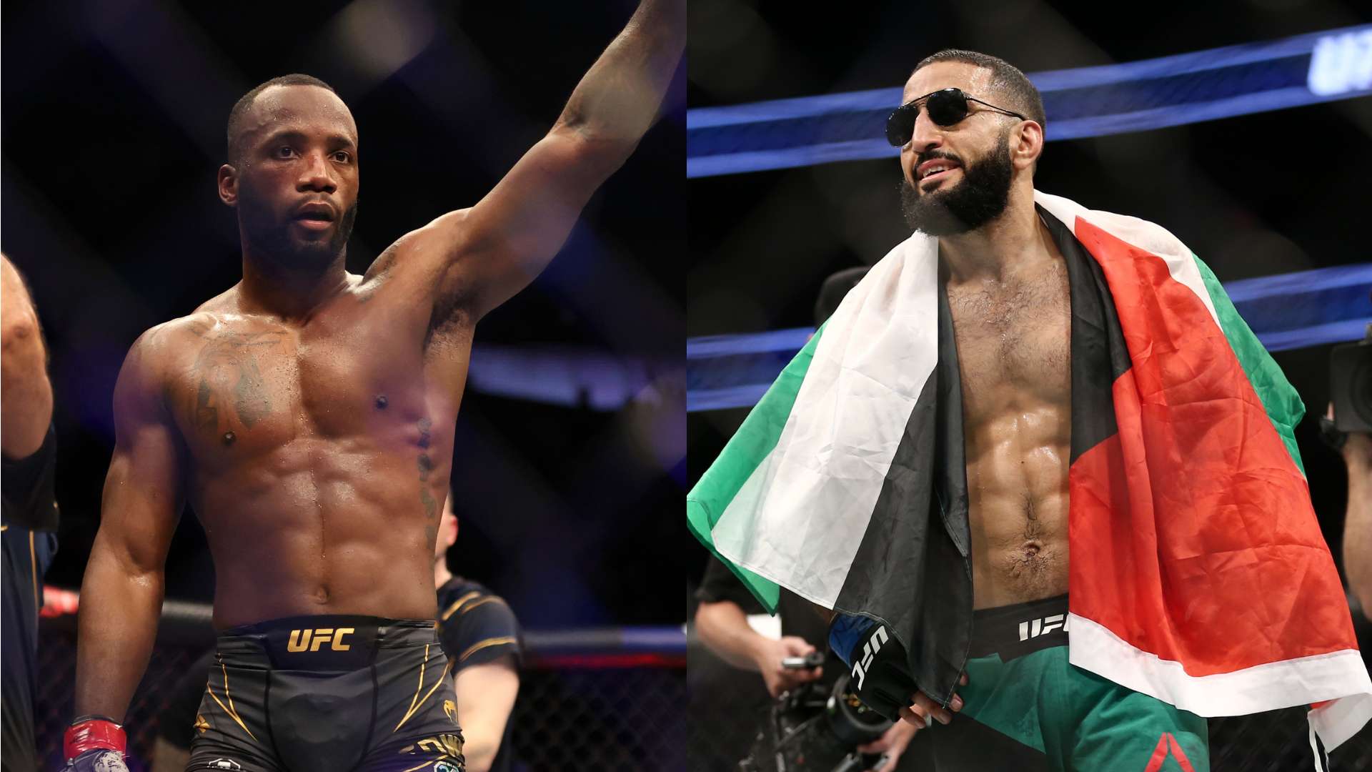 年世界杯举 年世界杯举